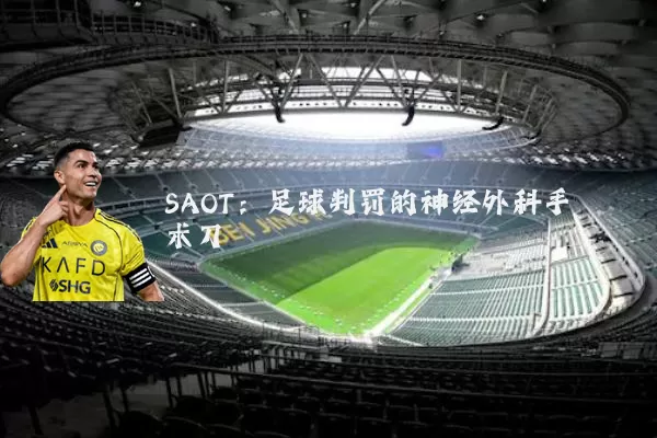 SAOT:足球判罚的神经外科手术刀