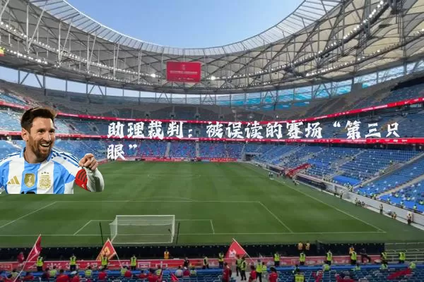 助理裁判:被误读的赛场“第三只眼”